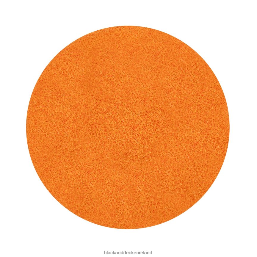 BLACK+DECKER spillbuster Cordless Spill Spot Cleaner Replacement Filter 2TNNR281 Cleaning