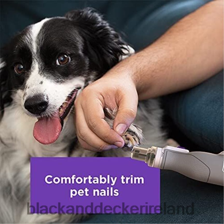 BLACK+DECKER 8V MAX Rotary Tool Pet Nail Trimmer 2TNNR2225 Home & Lifestyle