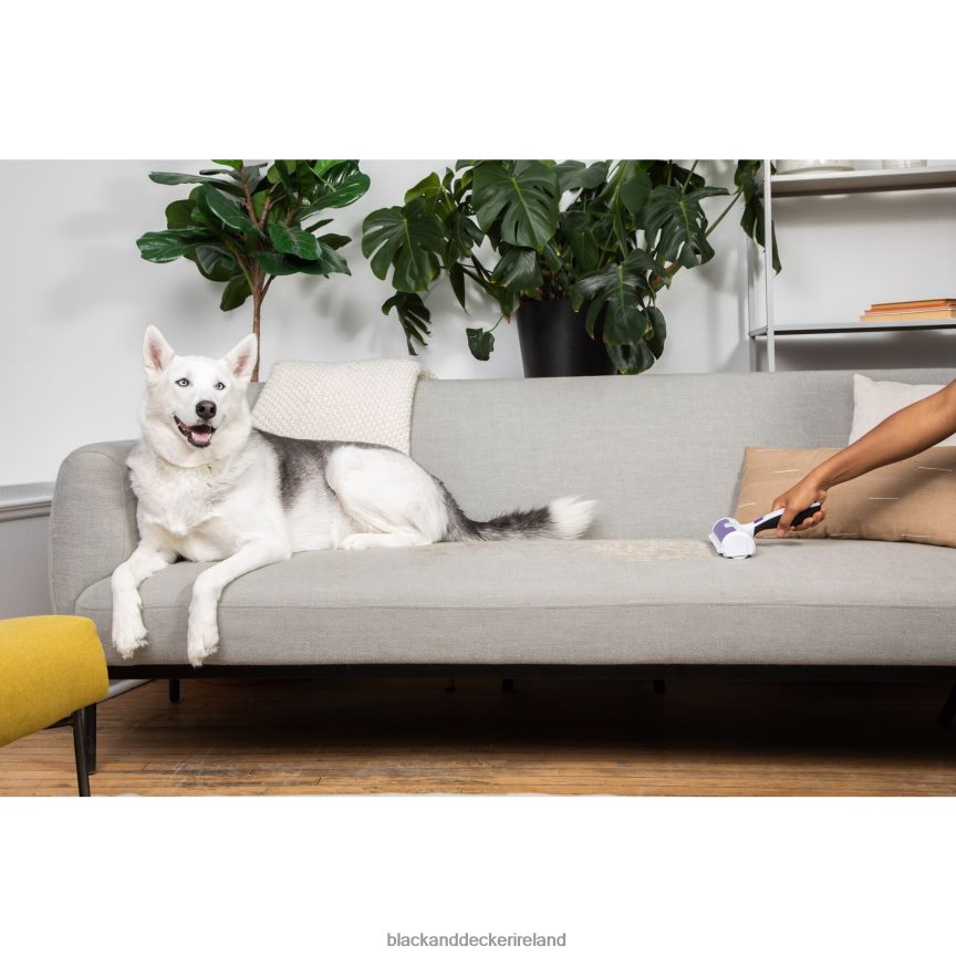 BLACK+DECKER Pet Hair Remover 2TNNR2224 Home & Lifestyle