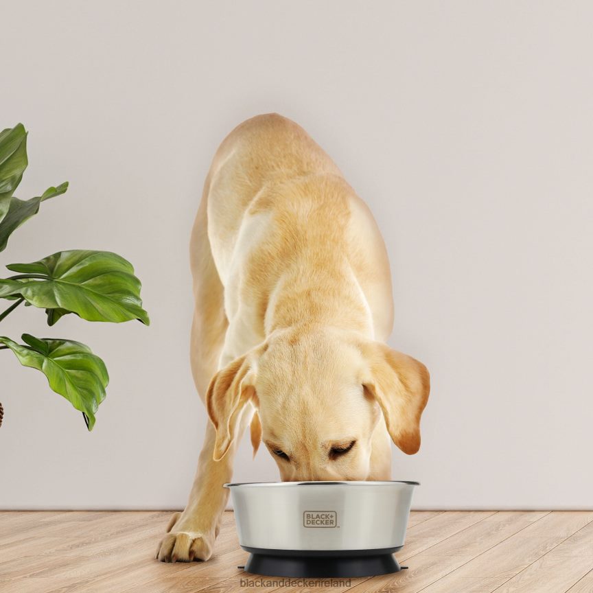 BLACK+DECKER Suction Cup Pet Bowl 8.26 In 2TNNR2244 Home & Lifestyle