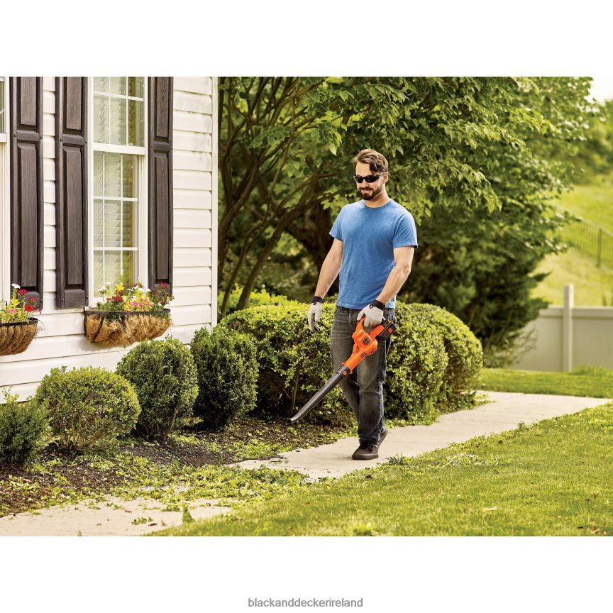BLACK+DECKER 40V MAX Sweeper 2TNNR2437 Outdoor