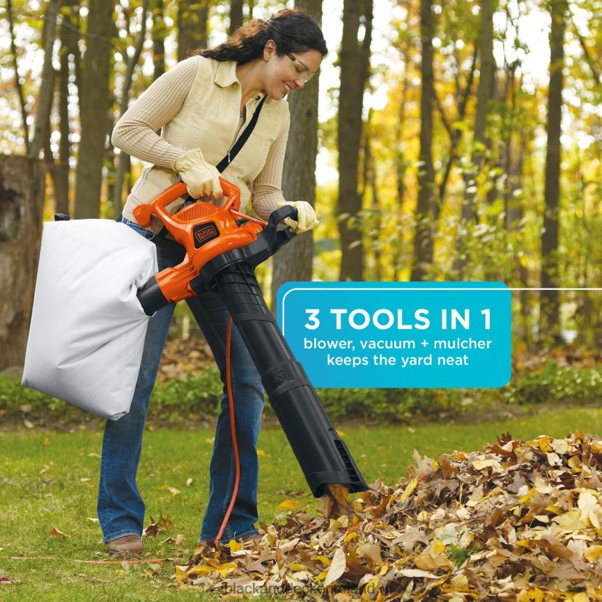 BLACK+DECKER Leaf Blower & Leaf Vacuum 3-in-1 12-Amp 250-MPH 400-CFM 2TNNR2448 Outdoor